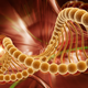 Image for article titled Scientists switch mouse's genes off and on with radio waves